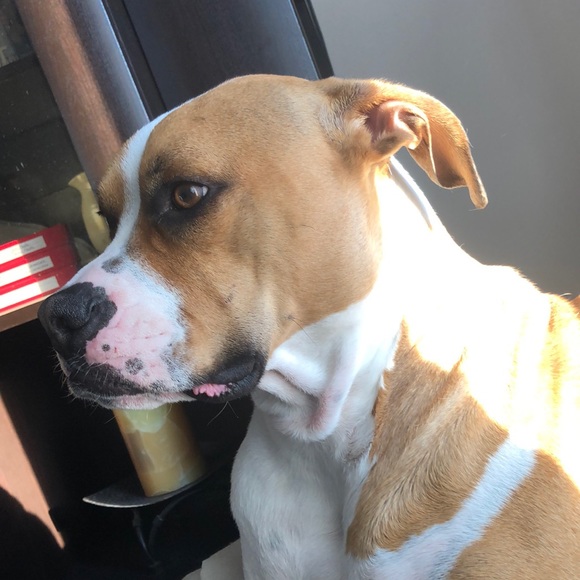 Meet your Posher, A - Picture 1 of 1